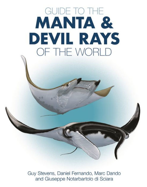 Guide To The Manta And Devil Rays Of The World By Guy Stevens Daniel Fernando Marc Dando Giuseppe Notarbartolo Di Sciara Paperback Barnes Noble