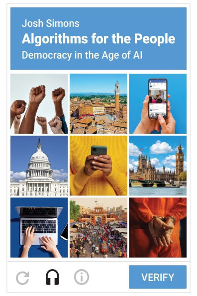Algorithms for the People: Democracy in the Age of AI