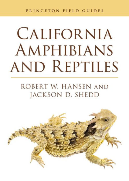 California Amphibians and Reptiles by Robert Hansen, Jackson D