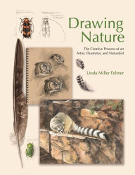 Title: Drawing Nature: The Creative Process of an Artist, Illustrator, and Naturalist, Author: Linda Miller Feltner