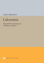 Lukurmata: Household Archaeology in Prehispanic Bolivia