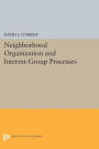 Neighborhood Organization and Interest-Group Processes