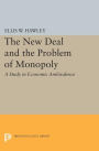The New Deal and the Problem of Monopoly