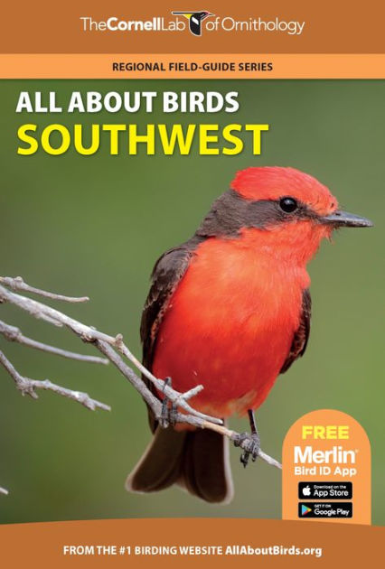 All About Birds Southwest by Cornell Lab of Ornithology, Paperback