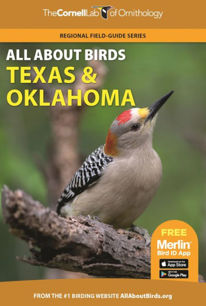 All About Birds Texas and Oklahoma|Paperback