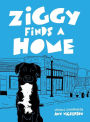 Ziggy Finds a Home