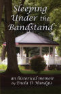 Sleeping Under The Bandstand: An Historical Memoir