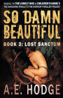 So Damn Beautiful: Lost Sanctum