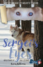Sergei's Eyes: Reflections of Soul Lessons