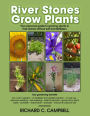 River Stones Grow Plants: Your Personal Guide to Growing Plants in River Stones Without Soil and Fertilizers