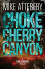 Chokecherry Canyon