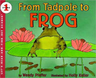 From Tadpole to Frog