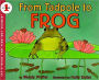 From Tadpole to Frog