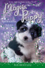 Spellbound at School (Magic Puppy Series #11)