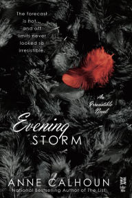 Title: Evening Storm, Author: Anne Calhoun