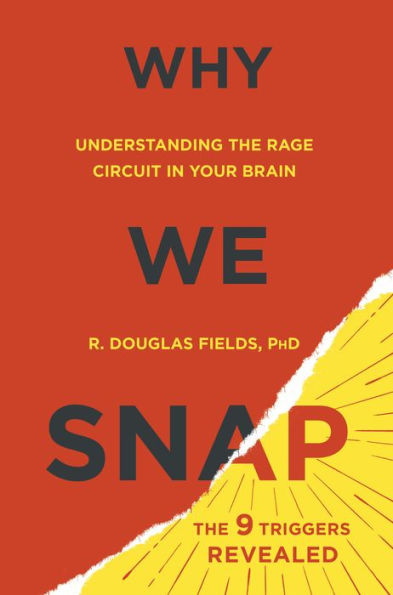 Why We Snap: Understanding the Rage Circuit in Your Brain