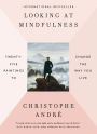 Looking at Mindfulness: 25 Ways to Live in the Moment Through Art