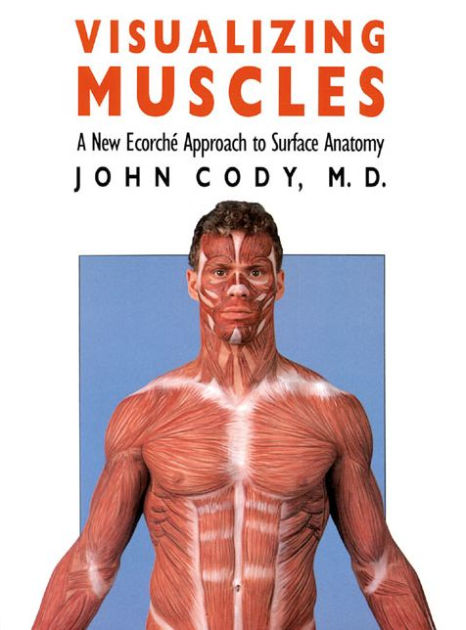 Visualizing Muscles: A New Ecorche Approach to Surface Anatomy by