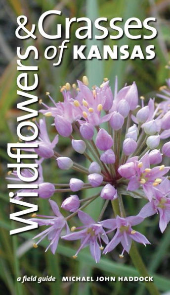 Wildflowers and Grasses of Kansas: A Field Guide