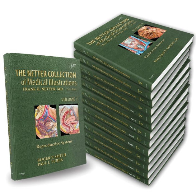 the netter collection of medical illustrations pdf download