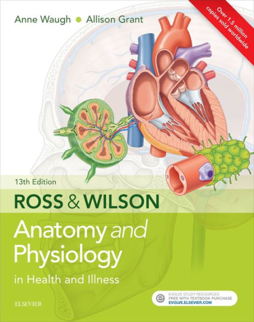 Ross And Wilson Anatomy And Physiology In Health And Illness By Anne Waugh Msc Certed Srn Rnt Fhea 9343