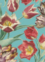 RHS Tulips Boxed Notecards