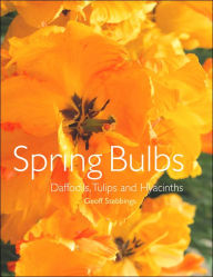 Spring Bulbs: Daffodils, Tulips and Hyacinths