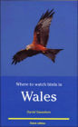 Where to Watch Birds in Wales