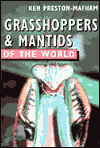 Grasshoppers and Mantids of the World