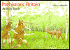 Prehistoric Britain Activity Book