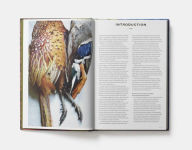 Alternative view 2 of Recipes from the Woods: The Book of Game and Forage