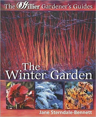 The Winter Garden By Jane Sterndale Bennett Paperback Barnes