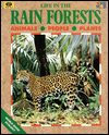 Life in the Rain Forests