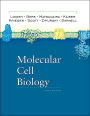Molecular Cell Biology / Edition 5