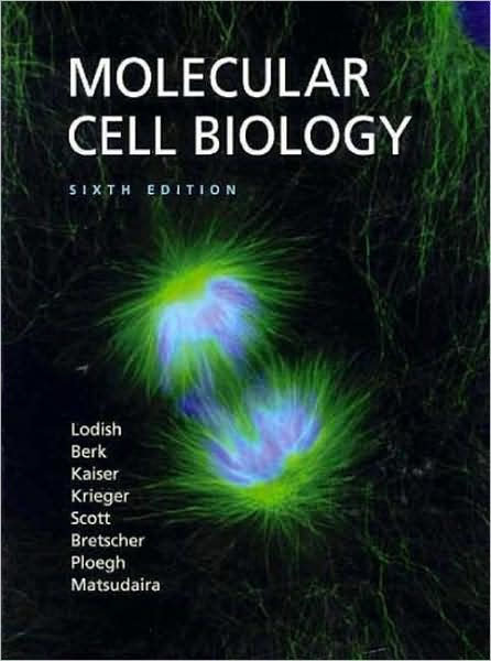 Molecular Biology Of The Cell 4th Edition Free Download 24