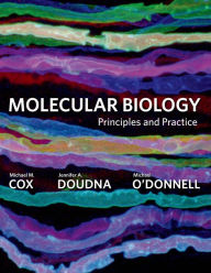 Molecular Biology: Principles and Practice / Edition 1