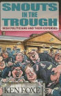 Snouts in the Trough: Irish Politicians and Their Expenses