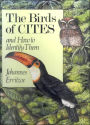 Birds of Cites and how to Identify Them