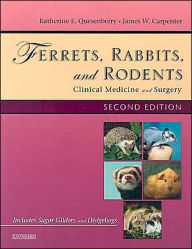 Ferrets, Rabbits and Rodents: Clinical Medicine and Surgery / Edition 2