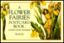 A Flower Fairies Postcard Book