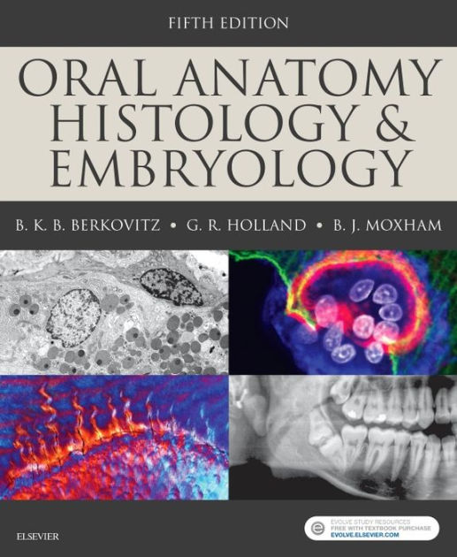 Oral Anatomy, Histology And Embryology / Edition 5 By Barry K.B ...