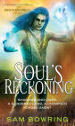 Soul's Reckoning