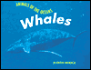 Animals of the Ocean: Whales