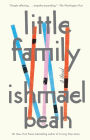 Little Family: A Novel