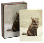 Snow Fox Boxed Holiday Half Notecards