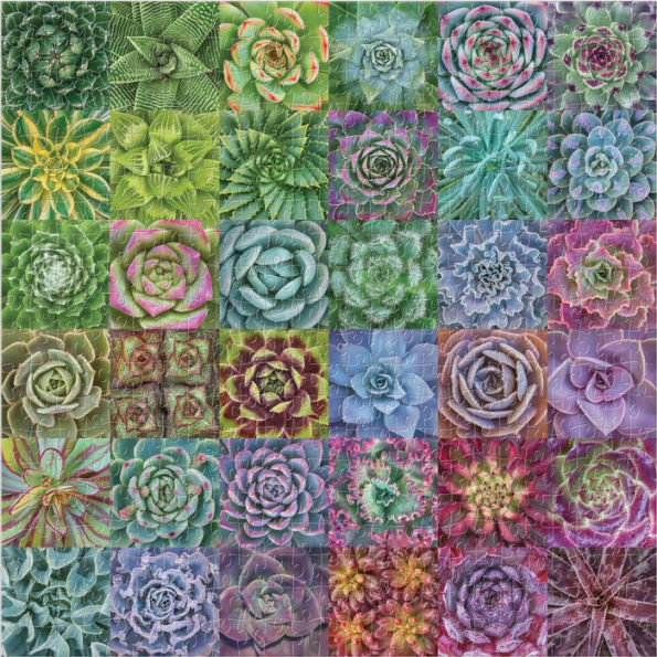 Succulent Spectrum 500 Piece Puzzle