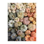 Alternative view 2 of Heirloom Pumpkins 1000 Piece Puzzle in Square Box