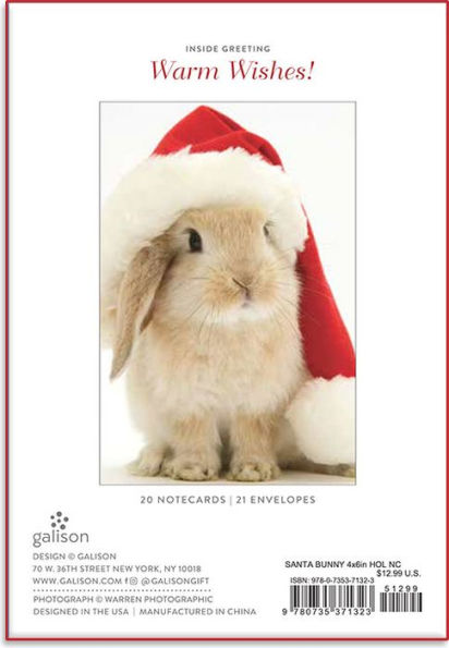 Santa Bunny 4x6