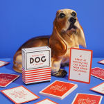 Alternative view 5 of Because This Dog Is Embarrassing - Pet Shame/Praise Deck