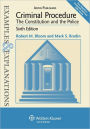 Criminal Procedure (Examples and Explanations Series) / Edition 6